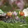 120pcs Literary and Fresh Grass Flower Sticker Pack